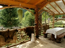 Casa Zimbru - accommodation in  Bucovina (02)