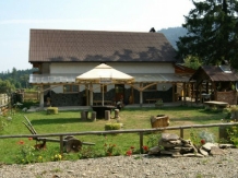 Casa Zimbru - alloggio in  Bucovina (16)