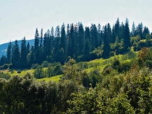 Pensiunea Cody - accommodation in  Gura Humorului, Bucovina (07)