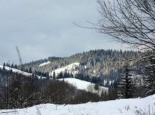 Pensiunea Cody - accommodation in  Gura Humorului, Bucovina (10)