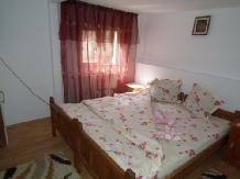 Pensiunea Topirceanu - accommodation in  Transylvania (03)