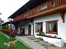 Pensiunea Tolstoi - cazare Rucar - Bran, Moeciu, Bran (12)