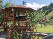 Pensiunea Perla Carpati - cazare Rucar - Bran, Moeciu (05)