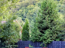Chalet Milenium Residence - accommodation in  Rucar - Bran, Moeciu, Bran (17)