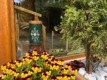 Chalet Milenium Residence - accommodation in  Rucar - Bran, Moeciu, Bran (24)