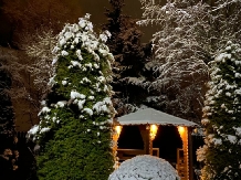 Chalet Milenium Residence - accommodation in  Rucar - Bran, Moeciu, Bran (46)