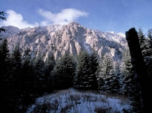Vila Arinul - cazare Rucar - Bran, Moeciu (04)
