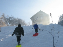 Pensiunea Capra cu 3 iezi - accommodation in  Rucar - Bran, Moeciu, Bran (29)