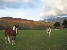 Pensiunea Casa Berbecilor - accommodation in  Rucar - Bran, Moeciu (07)