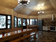 Pensiunea Ionela - accommodation in  Rucar - Bran, Moeciu (03)