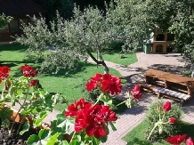 Pensiunea Ionela - accommodation in  Rucar - Bran, Moeciu (50)