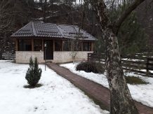 Pensiunea Ionela - accommodation in  Rucar - Bran, Moeciu (77)