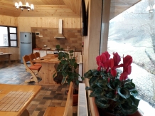 Pensiunea Ionela - accommodation in  Rucar - Bran, Moeciu (79)