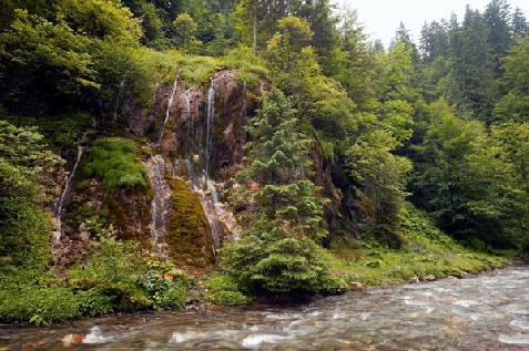 Pensiunea Ionela - cazare Rucar - Bran, Moeciu (Activitati si imprejurimi)