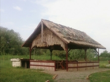 Pensiunea Mila 2 - accommodation in  Danube Delta (07)