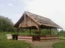 Pensiunea Mila2 - accommodation in  Danube Delta (07)