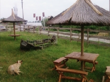 Pensiunea Mila 2 - accommodation in  Danube Delta (09)