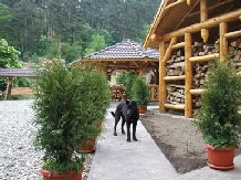 Pensiunea Cetatuia - alloggio in  Rucar - Bran, Rasnov (02)