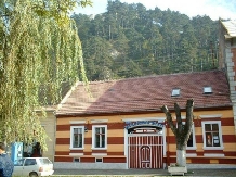Pensiunea Stefi - accommodation in  Rucar - Bran, Rasnov (13)
