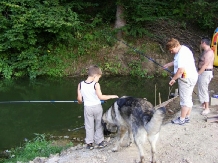 Pensiunea Vraja Padurii - alloggio in  Rucar - Bran, Rasnov (06)