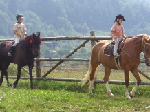 Pensiunea Vraja Padurii - cazare Rucar - Bran, Rasnov (07)