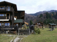 Pensiunea Vraja Padurii - accommodation in  Rucar - Bran, Rasnov (18)