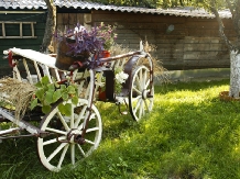 Pensiunea Cibinium - alloggio in  Transilvania (06)