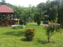 Pensiunea Restaurant Tudor - accommodation in  Rucar - Bran, Rasnov (17)