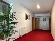 Pensiunea Restaurant Tudor - accommodation in  Rucar - Bran, Rasnov (40)