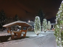 Pensiunea Restaurant Tudor - alloggio in  Rucar - Bran, Rasnov (59)