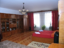 LAPEPensiunea Artemis - accommodation in  Transylvania (10)