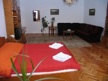 LAPEPensiunea Artemis - accommodation in  Transylvania (11)