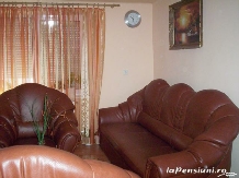 Pensiunea Grebenea - accommodation in  Sibiu Surroundings (02)