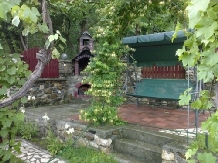 Pensiunea Grebenea - accommodation in  Sibiu Surroundings (09)