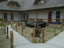 Casa alb-albastra - cazare Delta Dunarii (01)