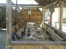 Casa alb-albastra - cazare Delta Dunarii (03)