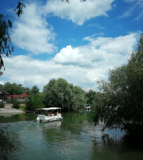 Casa Dintre Salcii - alloggio in  Delta del Danubio (Attivit&agrave; e i dintorni)