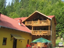 Cabana Bradul - accommodation in  Bistrita (08)