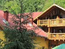 Cabana Bradul - alloggio in  Bistrita (20)