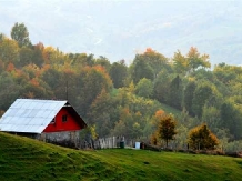 Complex Satul Prunilor - accommodation in  Muntenia (09)