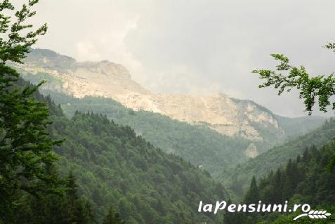 Complex Satul Prunilor - alloggio in  Muntenia (Attivit&agrave; e i dintorni)