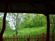 Pensiunea Verde - accommodation in  Maramures Country (04)
