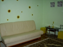 Pensiunea Verde - cazare Tara Maramuresului (10)