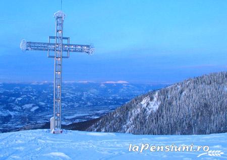 Pensiunea Anca - accommodation in  Hateg Country (Surrounding)