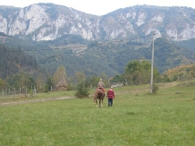 Pensiunea Totu'Bun - alloggio in  Apuseni, Tara Motilor, Arieseni (41)