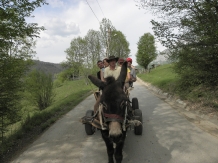 Pensiunea Totu'Bun - alloggio in  Apuseni, Tara Motilor, Arieseni (42)