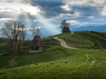 Pensiunea Totu'Bun - accommodation in  Apuseni Mountains, Motilor Country, Arieseni (43)