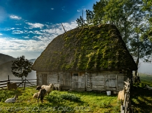 Pensiunea Totu'Bun - accommodation in  Apuseni Mountains, Motilor Country, Arieseni (46)