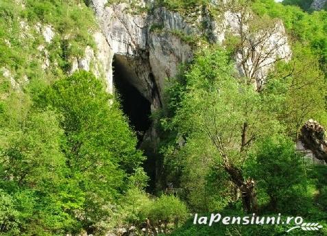 Pensiunea Totu'Bun - accommodation in  Apuseni Mountains, Motilor Country, Arieseni (Surrounding)