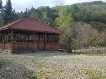 Casa Stefanita - alloggio in  Nord Oltenia (05)